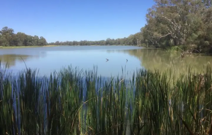 Mildura 3